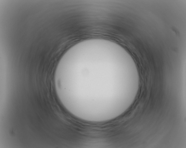 X0000114620599200910201003