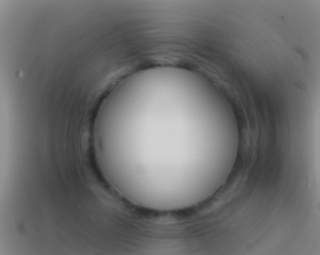 X0000114620600200910201003