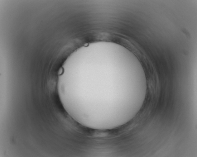 X0000114620602200910201003