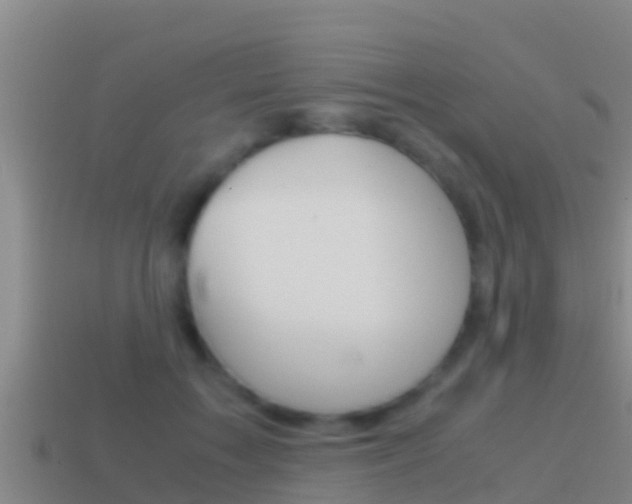 X0000114620603200910201003
