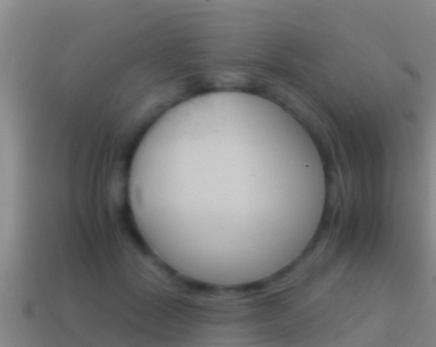 X0000114620604200910201003