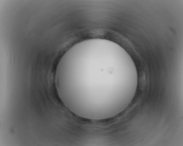 X0000114620608200910201003