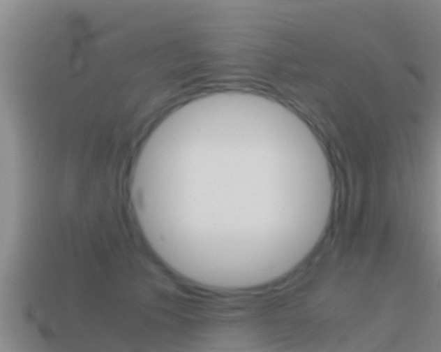 X0000114620609200910201003