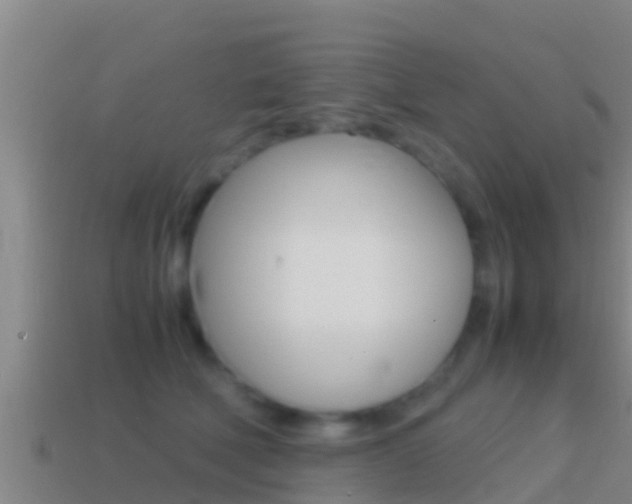 X0000114620610200910201003