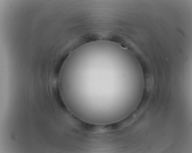 X0000114620613200910201003