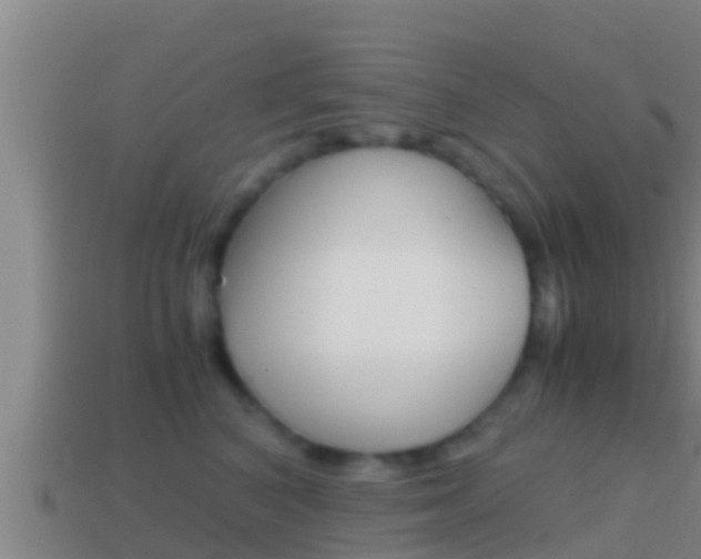 X0000114620616200910201003
