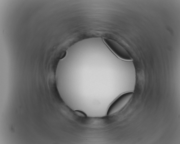 X0000114620617200910201003