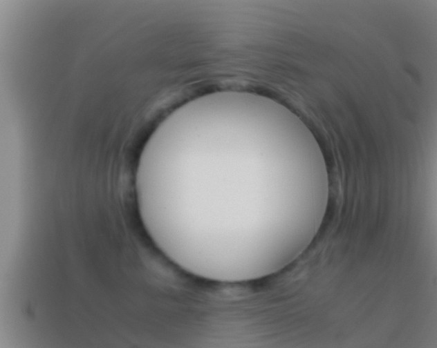 X0000114620619200910201003