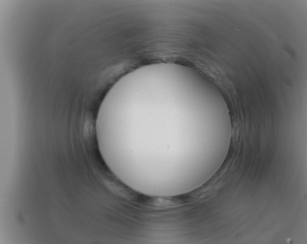 X0000114620623200910201003