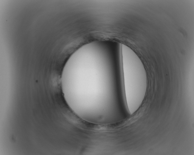 X0000114620624200910201003