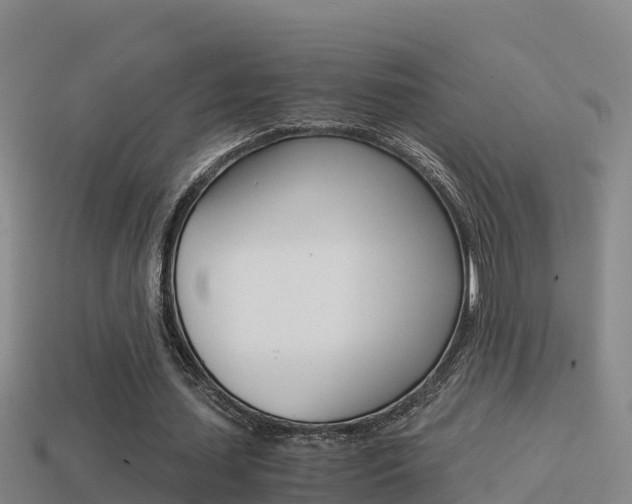 X0000114620627200910201002