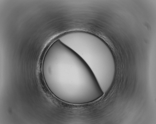 X0000114620628200910201002