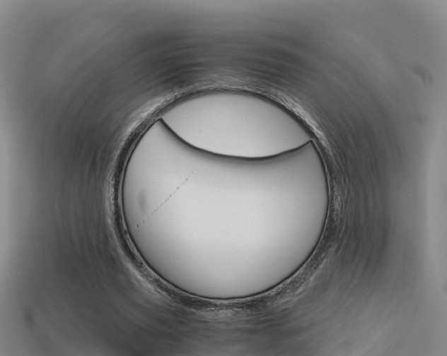 X0000114620629200910201002