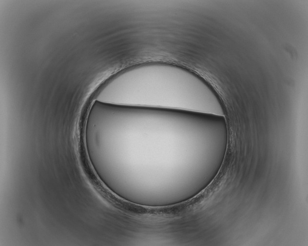 X0000114620630200910201002