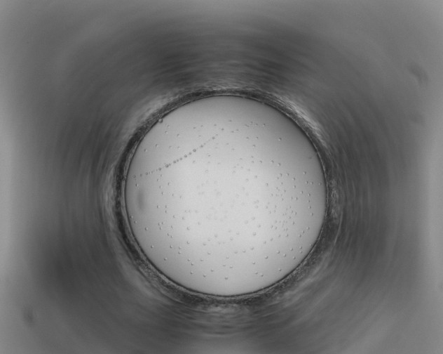 X0000114620631200910201002