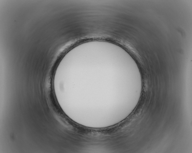 X0000114620632200910201002