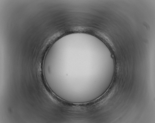 X0000114620633200910201002