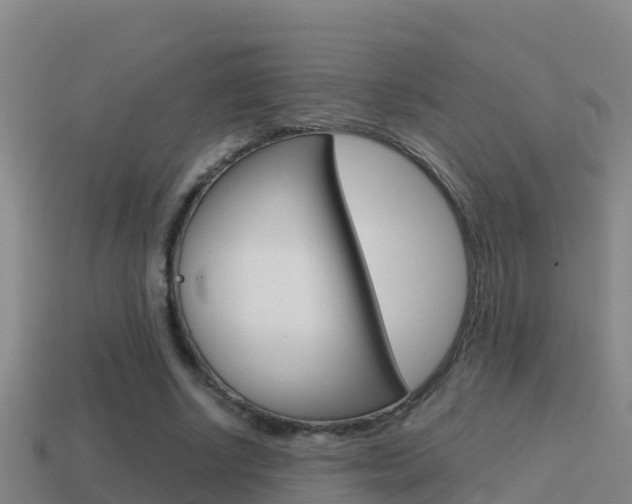 X0000114620634200910201002