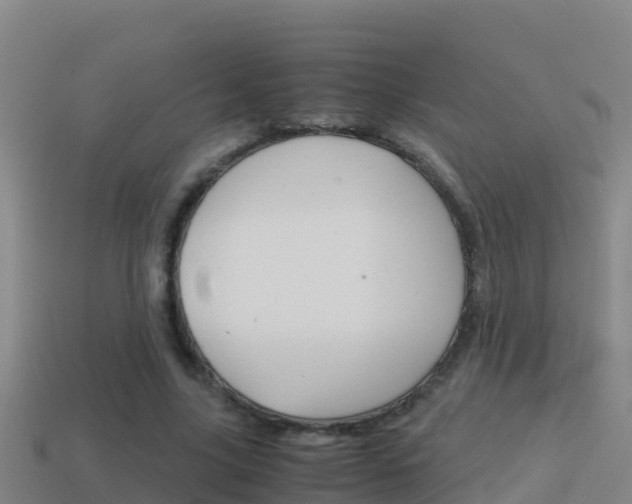 X0000114620635200910201002