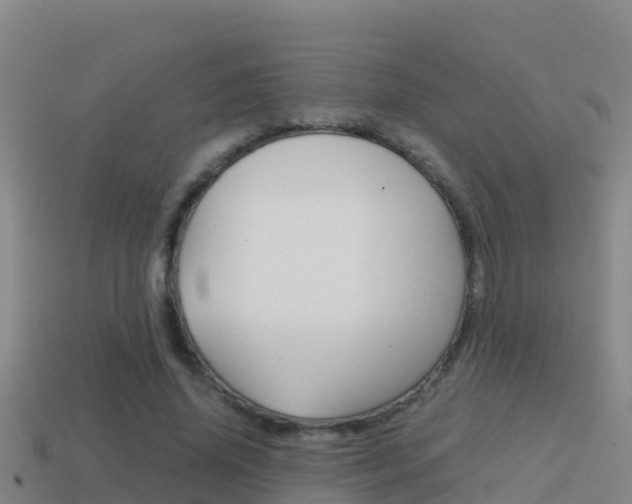 X0000114620636200910201002
