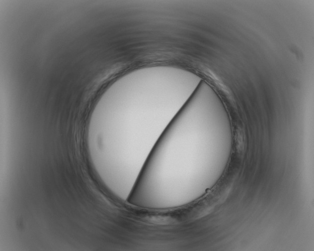 X0000114620637200910201002
