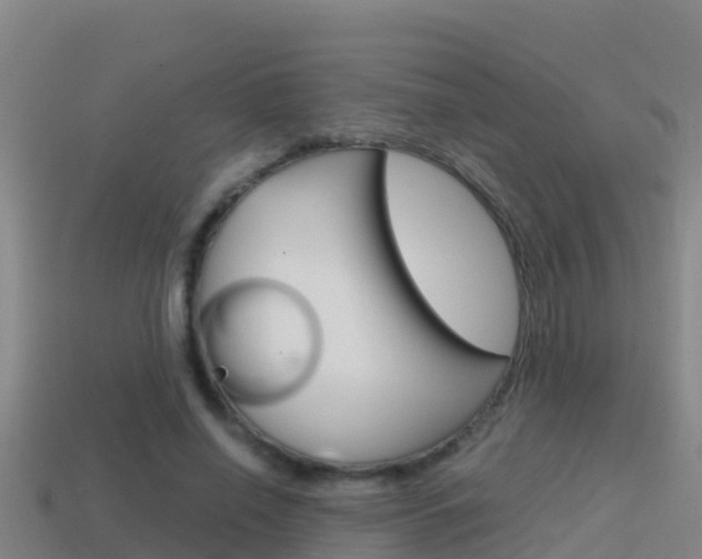 X0000114620638200910201002