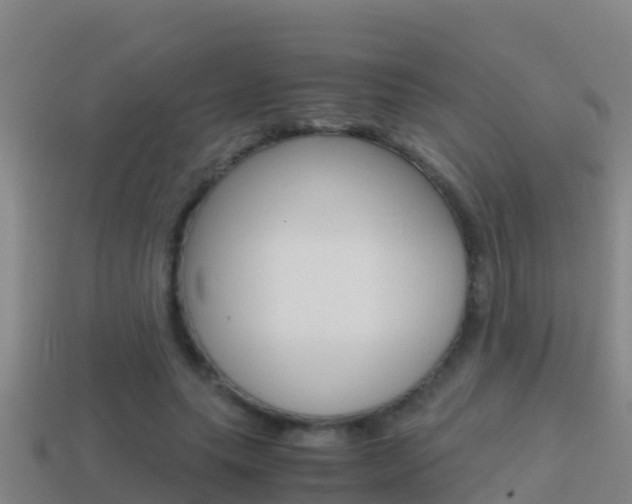 X0000114620639200910201002
