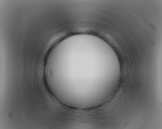 X0000114620640200910201002