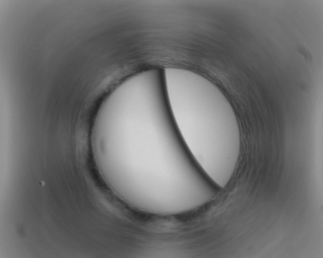 X0000114620642200910201002