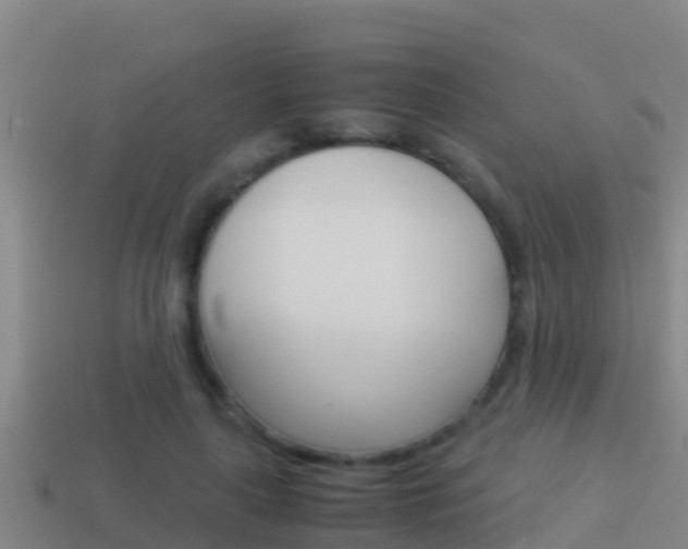 X0000114620643200910201002