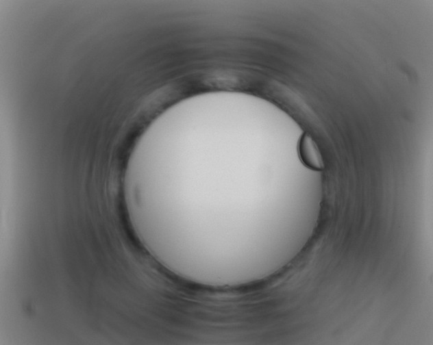 X0000114620645200910201002