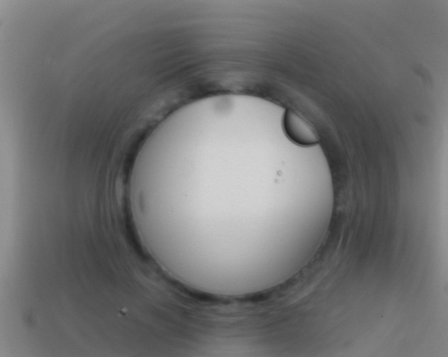 X0000114620646200910201002
