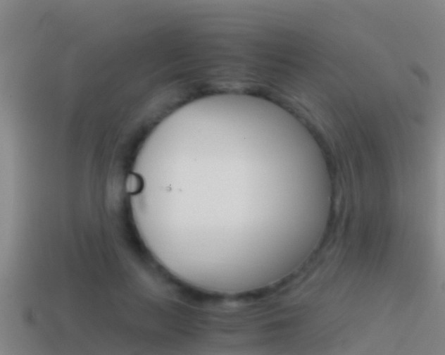 X0000114620647200910201002