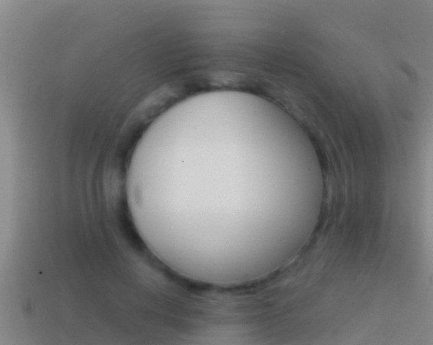 X0000114620648200910201002