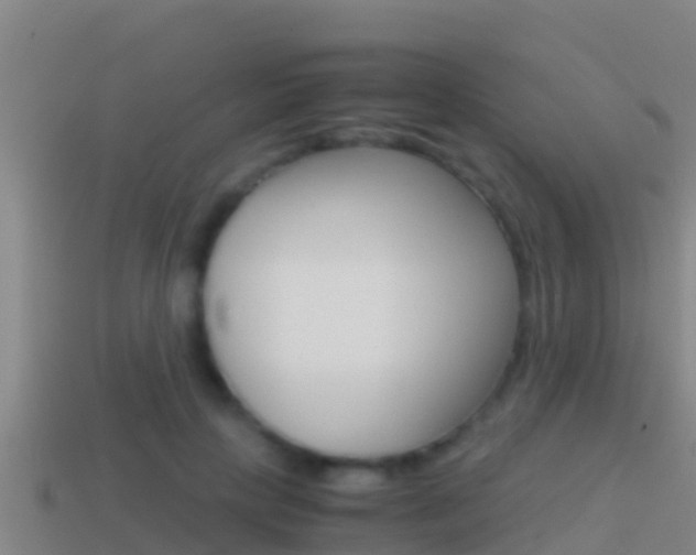 X0000114620649200910201002