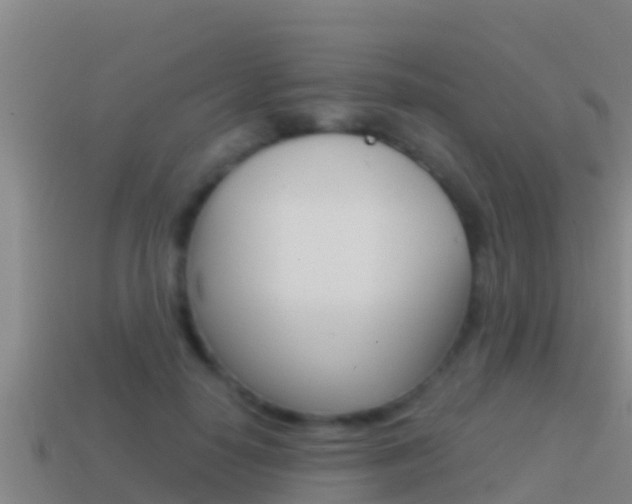 X0000114620650200910201002