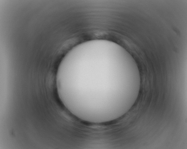 X0000114620654200910201002