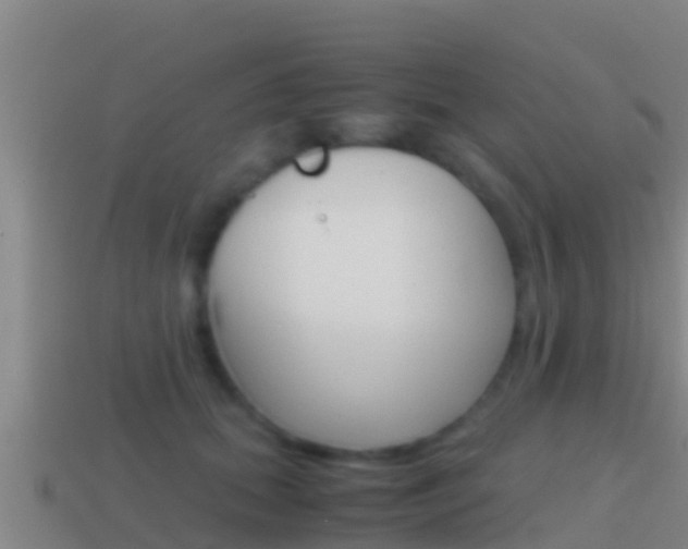 X0000114620655200910201002