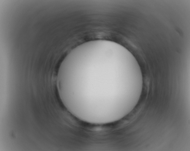X0000114620657200910201002