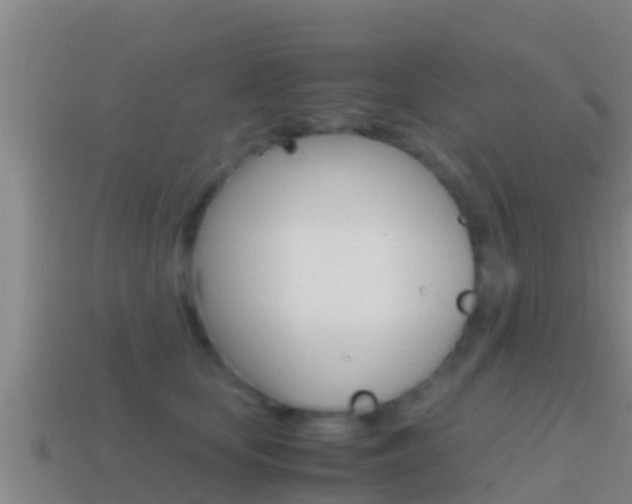 X0000114620659200910201002