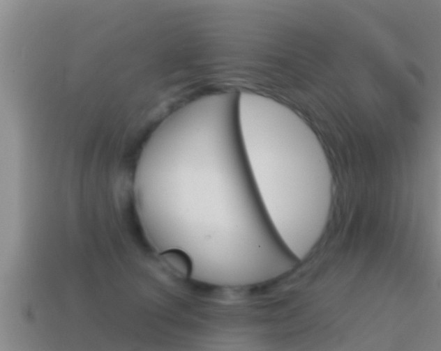 X0000114620660200910201002