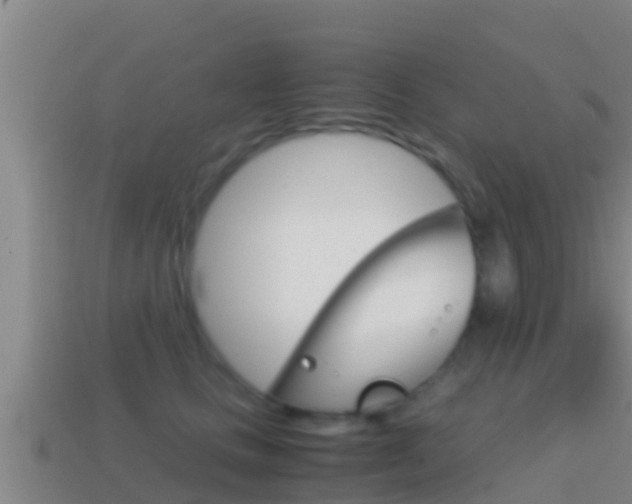 X0000114620661200910201002