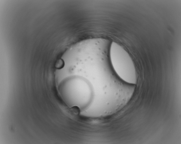 X0000114620662200910201002