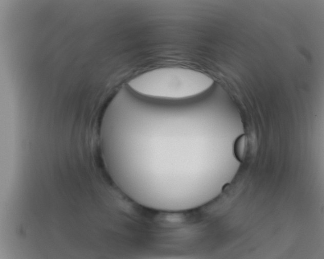 X0000114620665200910201003