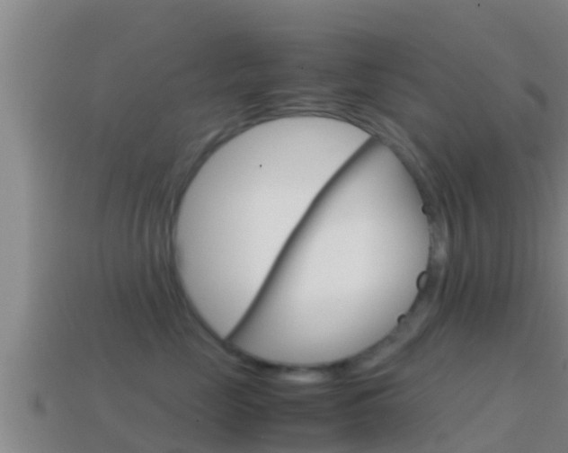 X0000114620669200910201003