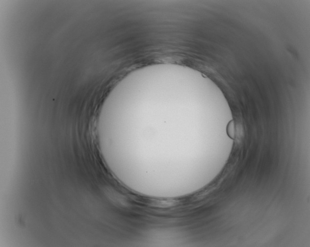 X0000114620671200910201003