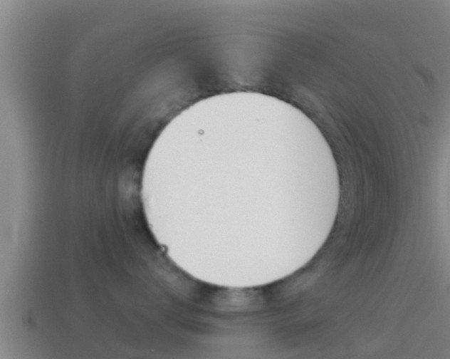 X0000114620672200910201003