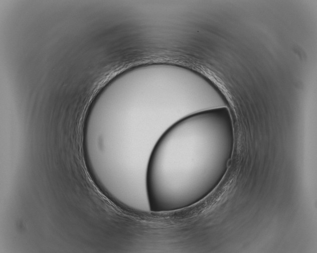 X0000114620673200910201002