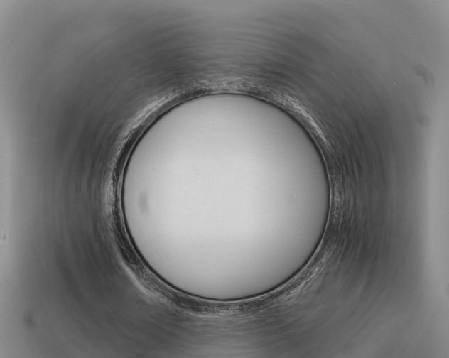 X0000114620674200910201002