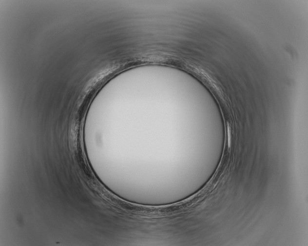 X0000114620675200910201002